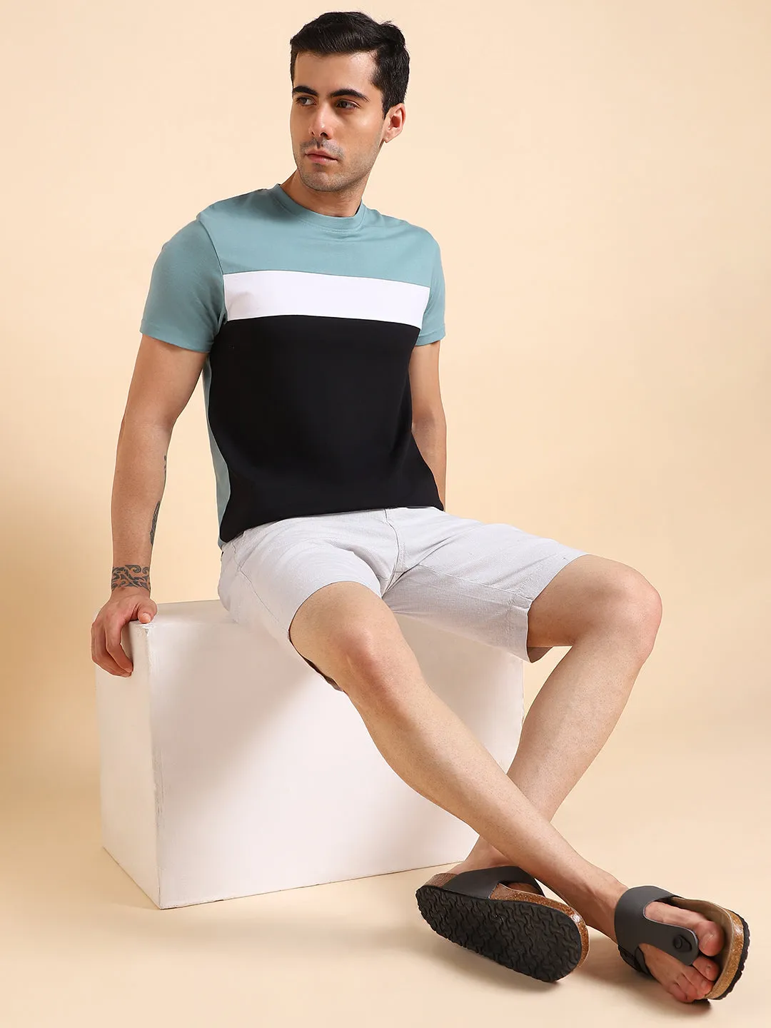 Men's Crew Neck Regular Fit Sea Green Colorblock T-Shirt